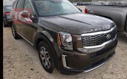 کیا تێلوراید